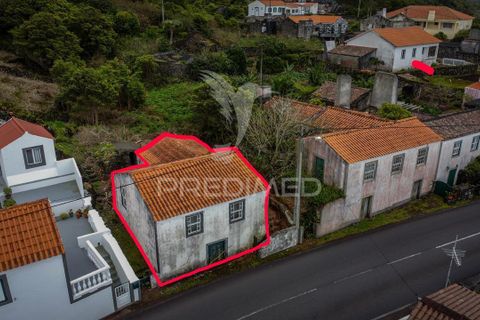 Byhus i Madalena, Pico, Madalena - € 75.000 | Ref: 058660 - foto 31