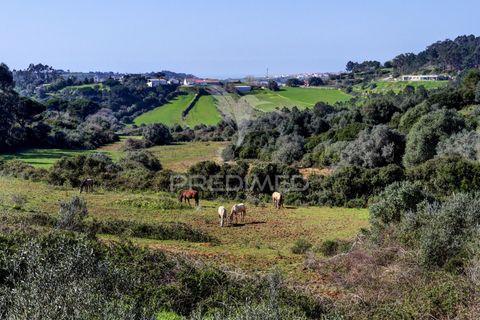 Byhus i Mafra, Lisbon, Mafra - € 750.000 | Ref: 058773 - foto 33