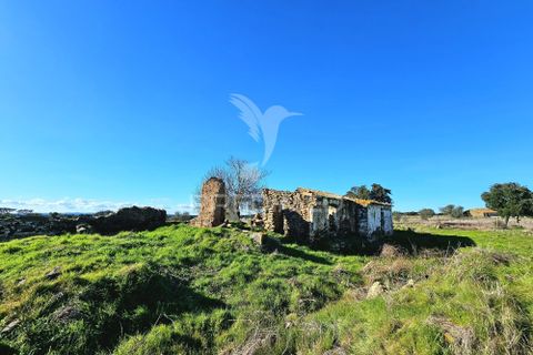 Masia a Ourique, Beja, Ourique - € 160.000 | Ref: 058817 - foto 2