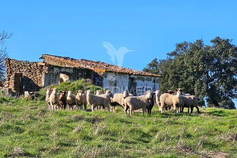 Masia a Ourique, Beja, Ourique - € 160.000 | Ref: 058817 - foto 3