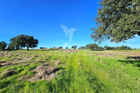 Masia a Ourique, Beja, Ourique - € 160.000 | Ref: 058817 - foto 6