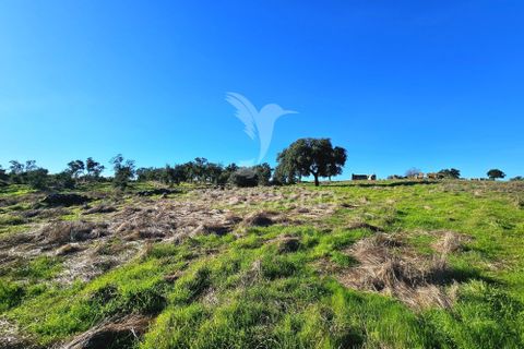 Masia a Ourique, Beja, Ourique - € 160.000 | Ref: 058817 - foto 7