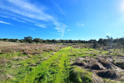 Masia a Ourique, Beja, Ourique - € 160.000 | Ref: 058817 - foto 8