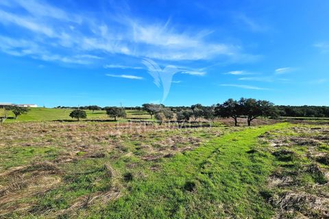 Masia a Ourique, Beja, Ourique - € 160.000 | Ref: 058817 - foto 9