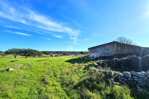 Masia a Ourique, Beja, Ourique - € 160.000 | Ref: 058817 - foto 10