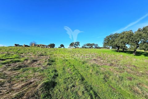 Masia a Ourique, Beja, Ourique - € 160.000 | Ref: 058817 - foto 11