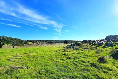 Masia a Ourique, Beja, Ourique - € 160.000 | Ref: 058817 - foto 12