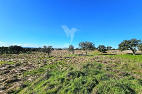 Masia a Ourique, Beja, Ourique - € 160.000 | Ref: 058817 - foto 14