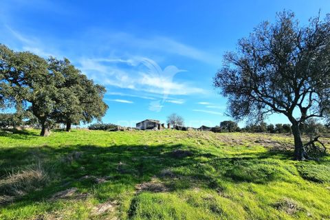 Masia a Ourique, Beja, Ourique - € 160.000 | Ref: 058817 - foto 15