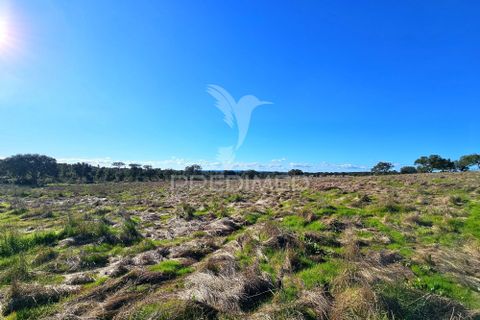 Masia a Ourique, Beja, Ourique - € 160.000 | Ref: 058817 - foto 17