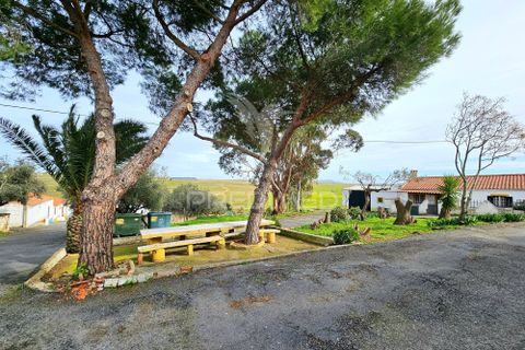 Byhus i Castro Verde, Beja, Castro Verde - € 57.000 | Ref: 059007 - foto 15