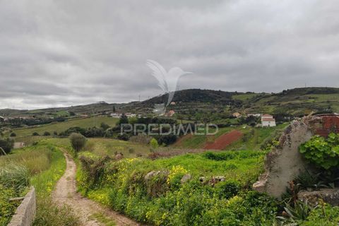 Helårsgrund i Torres Vedras, Lisbon, Torres Vedras - € 75.000 | Ref: 059068 - foto 8