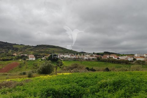 Helårsgrund i Torres Vedras, Lisbon, Torres Vedras - € 75.000 | Ref: 059068 - foto 9