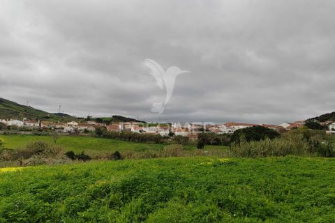 Helårsgrund i Torres Vedras, Lisbon, Torres Vedras - € 75.000 | Ref: 059068 - foto 10