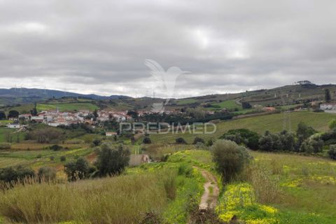 Helårsgrund i Torres Vedras, Lisbon, Torres Vedras - € 75.000 | Ref: 059068 - foto 11