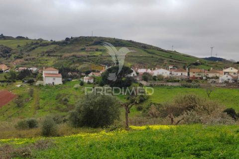 Helårsgrund i Torres Vedras, Lisbon, Torres Vedras - € 75.000 | Ref: 059068 - foto 12