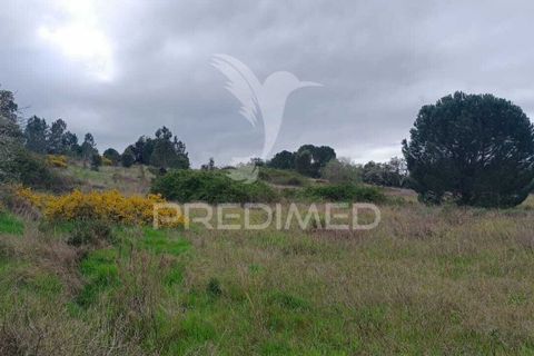 Helårsgrund i Mora, Evora, Mora - € 16.500 | Ref: 059069 - foto 2