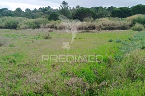 Helårsgrund i Mora, Evora, Mora - € 16.500 | Ref: 059069 - foto 3