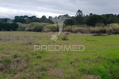 Helårsgrund i Mora, Evora, Mora - € 16.500 | Ref: 059069 - foto 1
