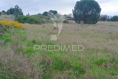 Helårsgrund i Mora, Evora, Mora - € 16.500 | Ref: 059069 - foto 4