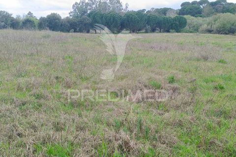 Helårsgrund i Mora, Evora, Mora - € 16.500 | Ref: 059069 - foto 5