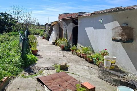 Byhus i Alpiarca, Santarem, Alpiarca - € 218.000 | Ref: 059125 - foto 8
