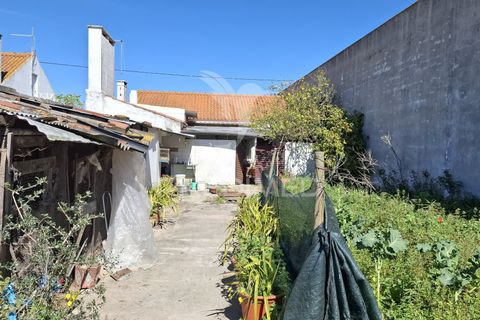 Byhus i Alpiarca, Santarem, Alpiarca - € 218.000 | Ref: 059125 - foto 9