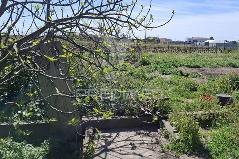 Byhus i Alpiarca, Santarem, Alpiarca - € 218.000 | Ref: 059125 - foto 10