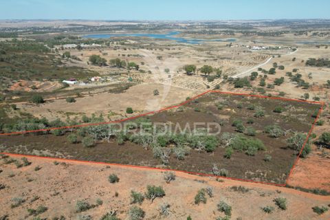 Terra a Ourique, Beja, Ourique - € 60.000 | Ref: 059170 - foto 2