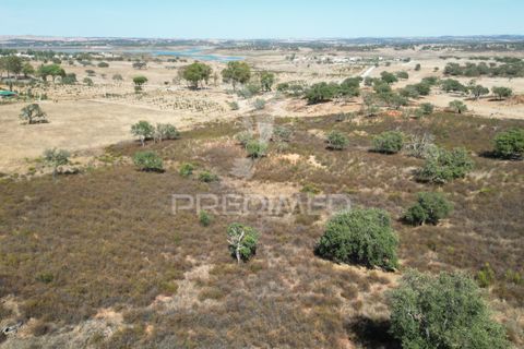 Terra a Ourique, Beja, Ourique - € 60.000 | Ref: 059170 - foto 4