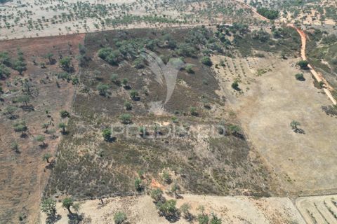 Terra a Ourique, Beja, Ourique - € 60.000 | Ref: 059170 - foto 5