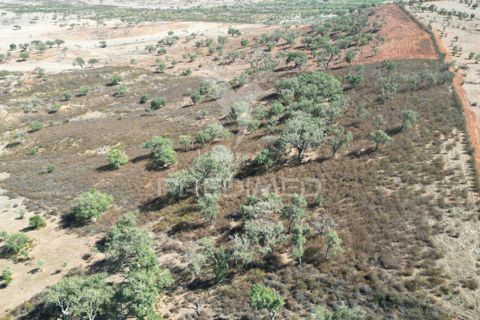 Terra a Ourique, Beja, Ourique - € 60.000 | Ref: 059170 - foto 6