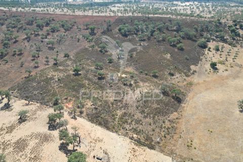 Terra a Ourique, Beja, Ourique - € 60.000 | Ref: 059170 - foto 7