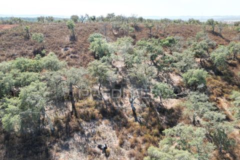 Terra a Ourique, Beja, Ourique - € 60.000 | Ref: 059170 - foto 9