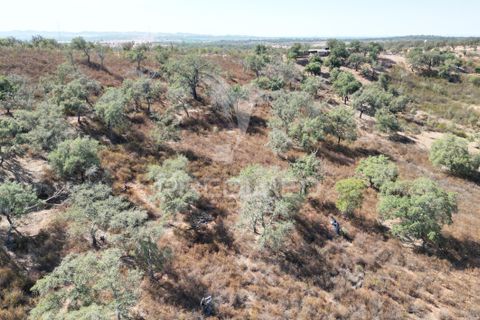 Terra a Ourique, Beja, Ourique - € 60.000 | Ref: 059170 - foto 10