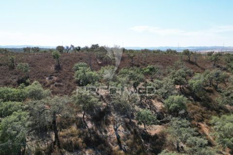 Terra a Ourique, Beja, Ourique - € 60.000 | Ref: 059170 - foto 11