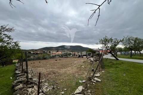 Byhus i Torre de Moncorvo, Braganca, Torre de Moncorvo - € 85.000 | Ref: 059191 - foto 12