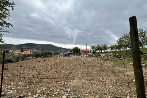 Byhus i Torre de Moncorvo, Braganca, Torre de Moncorvo - € 85.000 | Ref: 059191 - foto 13
