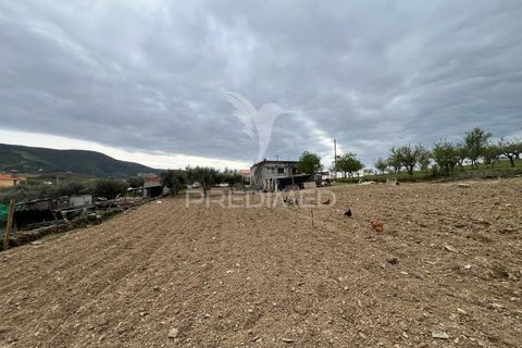 Byhus i Torre de Moncorvo, Braganca, Torre de Moncorvo - € 85.000 | Ref: 059191 - foto 14