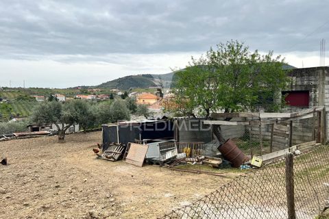 Byhus i Torre de Moncorvo, Braganca, Torre de Moncorvo - € 85.000 | Ref: 059191 - foto 15