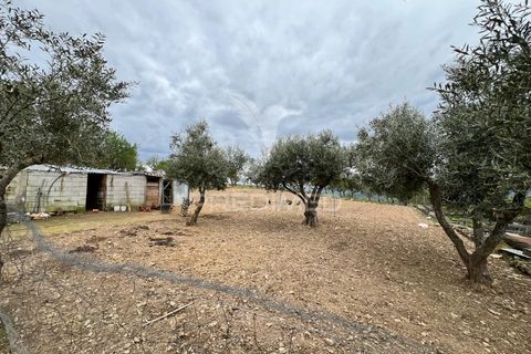 Byhus i Torre de Moncorvo, Braganca, Torre de Moncorvo - € 85.000 | Ref: 059191 - foto 19