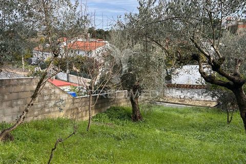 Byhus i Nisa, Portalegre, Nisa - € 50.000 | Ref: 059322 - foto 10