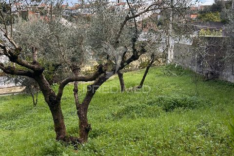 Byhus i Nisa, Portalegre, Nisa - € 50.000 | Ref: 059322 - foto 11