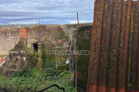 Byhus i Nisa, Portalegre, Nisa - € 30.000 | Ref: 059356 - foto 5