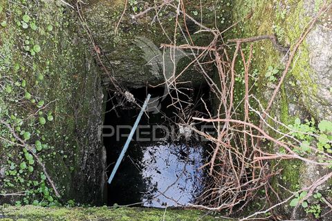 Helårsgrund i Nisa, Portalegre, Nisa - € 20.000 | Ref: 059373 - foto 6