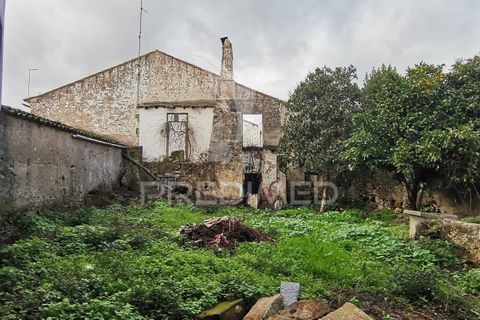 Helårsgrund i Nisa, Portalegre, Nisa - € 20.000 | Ref: 059373 - foto 7