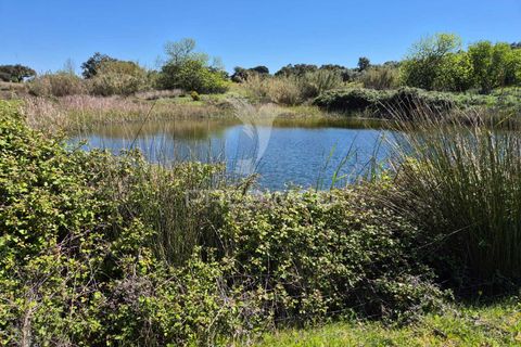 Farm hus i Mora, Evora, Mora - € 360.000 | Ref: 059453 - foto 7
