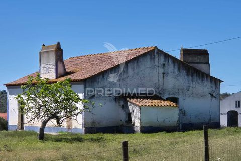 Farm hus i Mora, Evora, Mora - € 360.000 | Ref: 059453 - foto 4