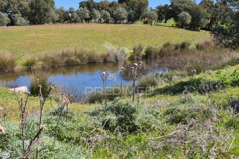 Farm hus i Mora, Evora, Mora - € 360.000 | Ref: 059453 - foto 3