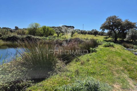 Farm hus i Mora, Evora, Mora - € 360.000 | Ref: 059453 - foto 8